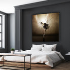 The Black Swan by Claudio Tosi on GIANT ART - black digital painting