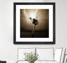 The Black Swan by Claudio Tosi on GIANT ART - black digital painting