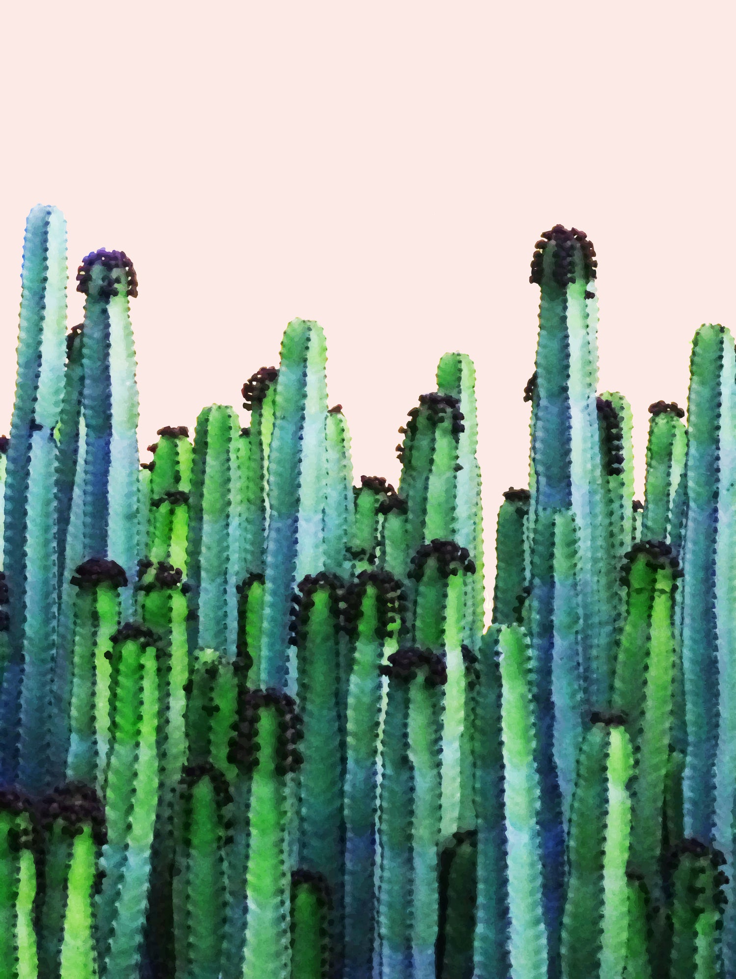 Cactus V5 by Uma Gokhale on GIANT ART - green photo manipulation