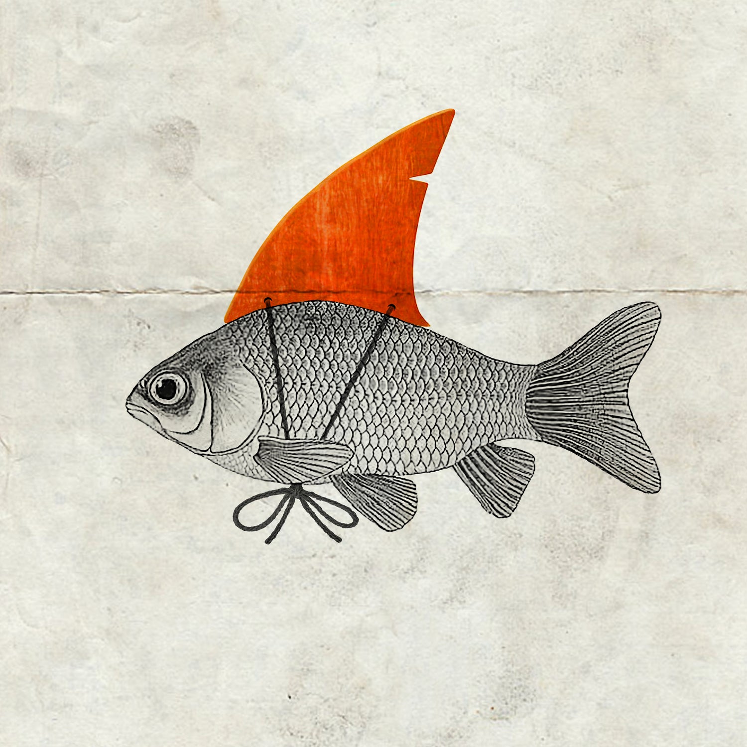 Goldfish with a Shark Fin by Vin Zzep on GIANT ART - white digital painting