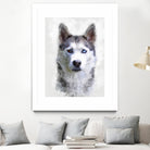 Siberian Husky by Alex Baron on GIANT ART - gray digital painting