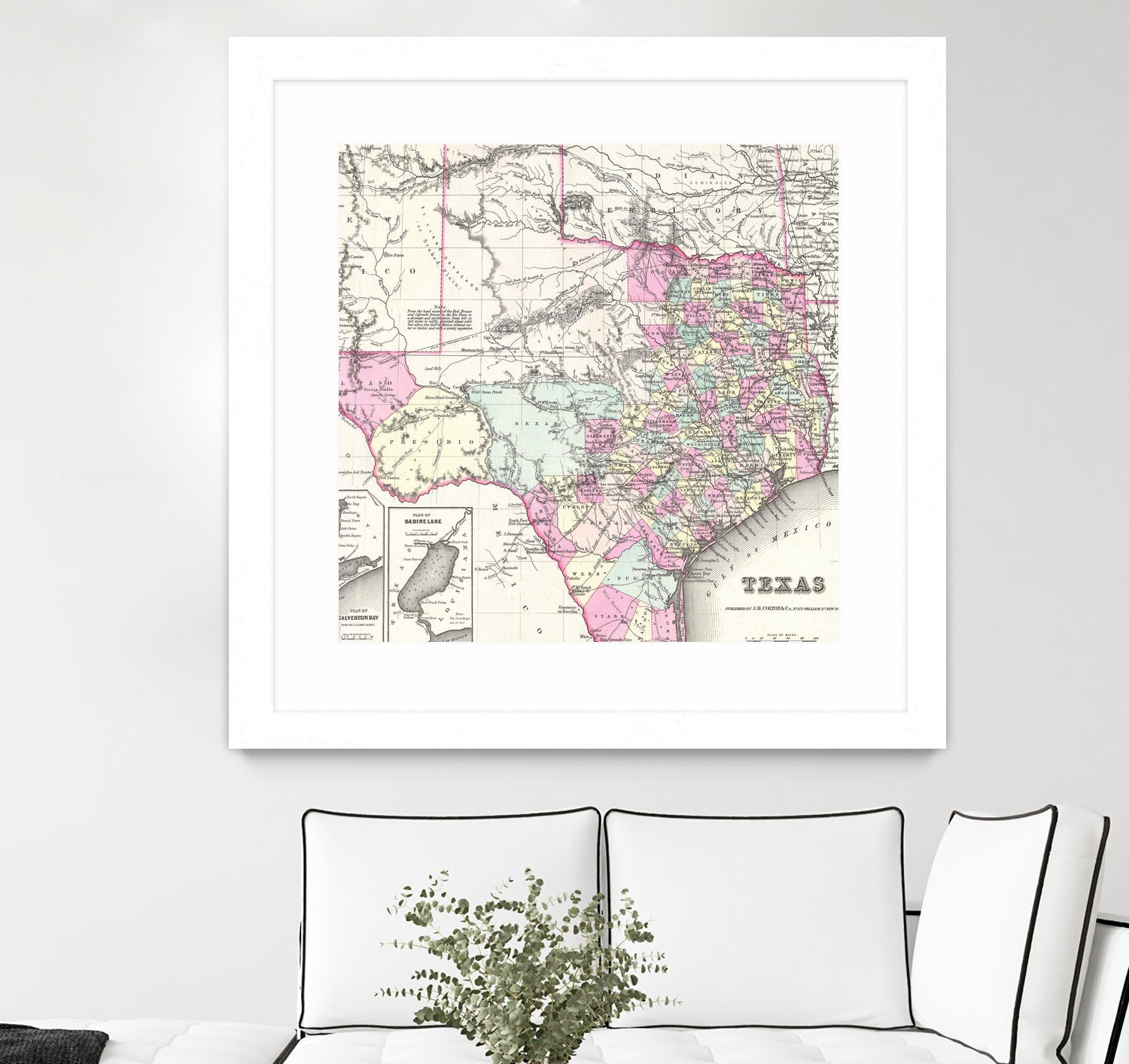 Vintage Map of Texas (1855) by Adam Shaw on GIANT ART - white photo illustration