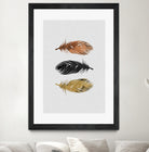 Feathers by Dana Shek on GIANT ART - white photo illustration