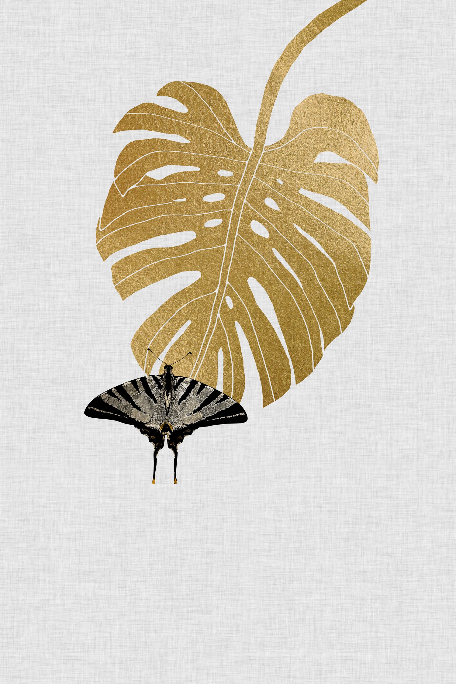 Butterfly & Monstera by Dana Shek on GIANT ART - white digital painting