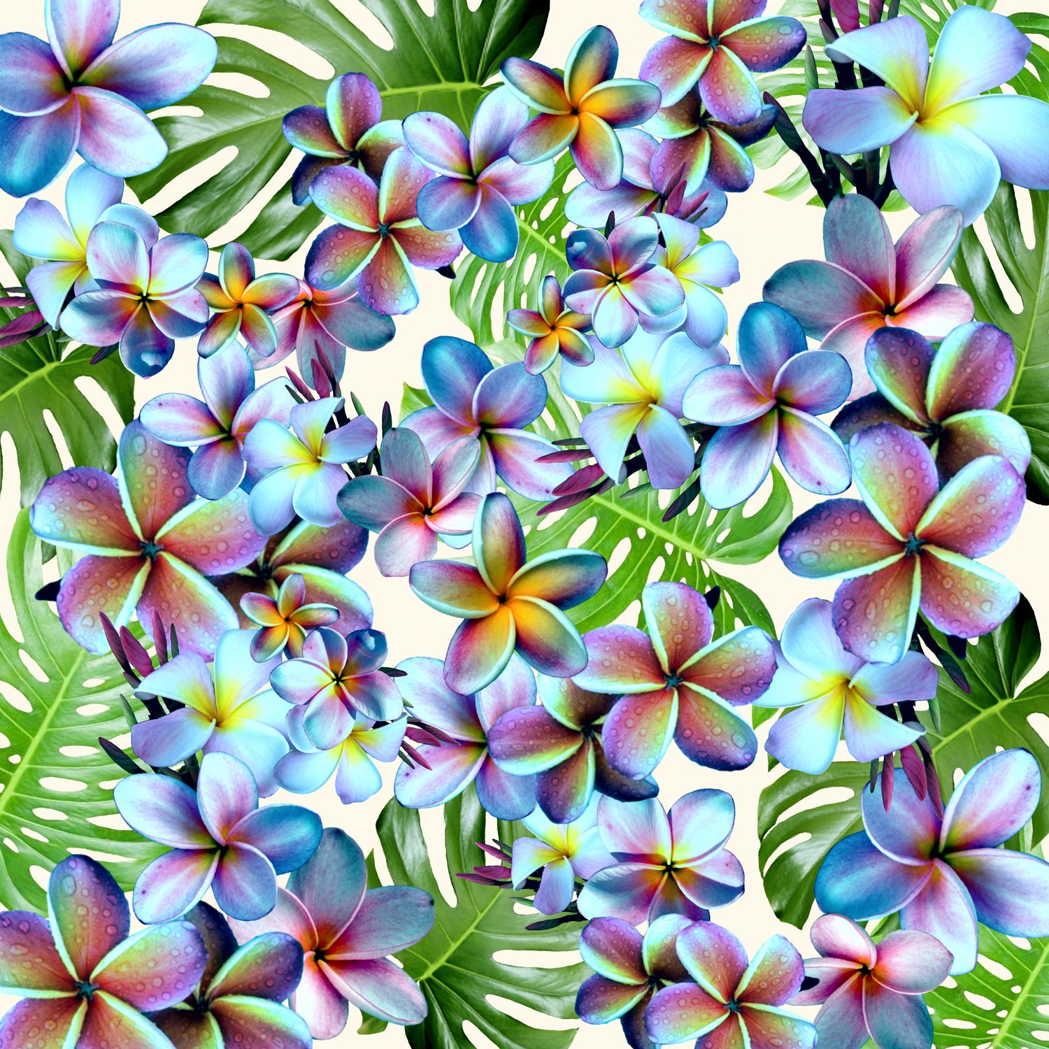 Rainbow Plumeria Pattern by Sondra Kay Neiman on GIANT ART - fuchsia photo manipulation