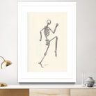 YOGA SKULLS003 by Ballpointpen Illustrator on GIANT ART - white mixed media