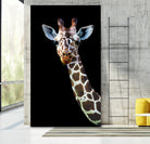 giraffe by Laura Graves on GIANT ART - white digital painting