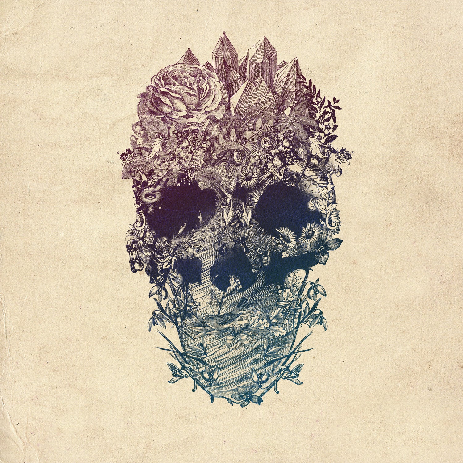 Skull Floral by Ali Gulec on GIANT ART - white digital drawing