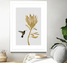 Hummingbird & Flower I by Dana Shek on GIANT ART - white digital painting