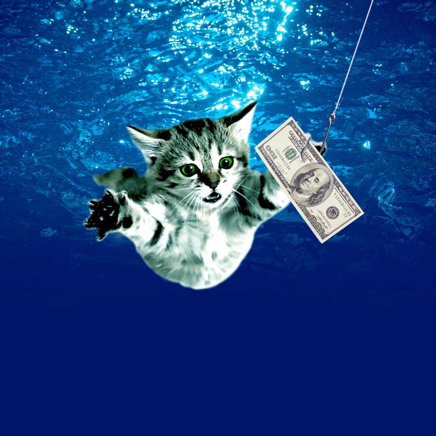 Cat Nvermind Album Cover under Water BabyNeve by Damian Augustyniak on GIANT ART - blue photo manipulation