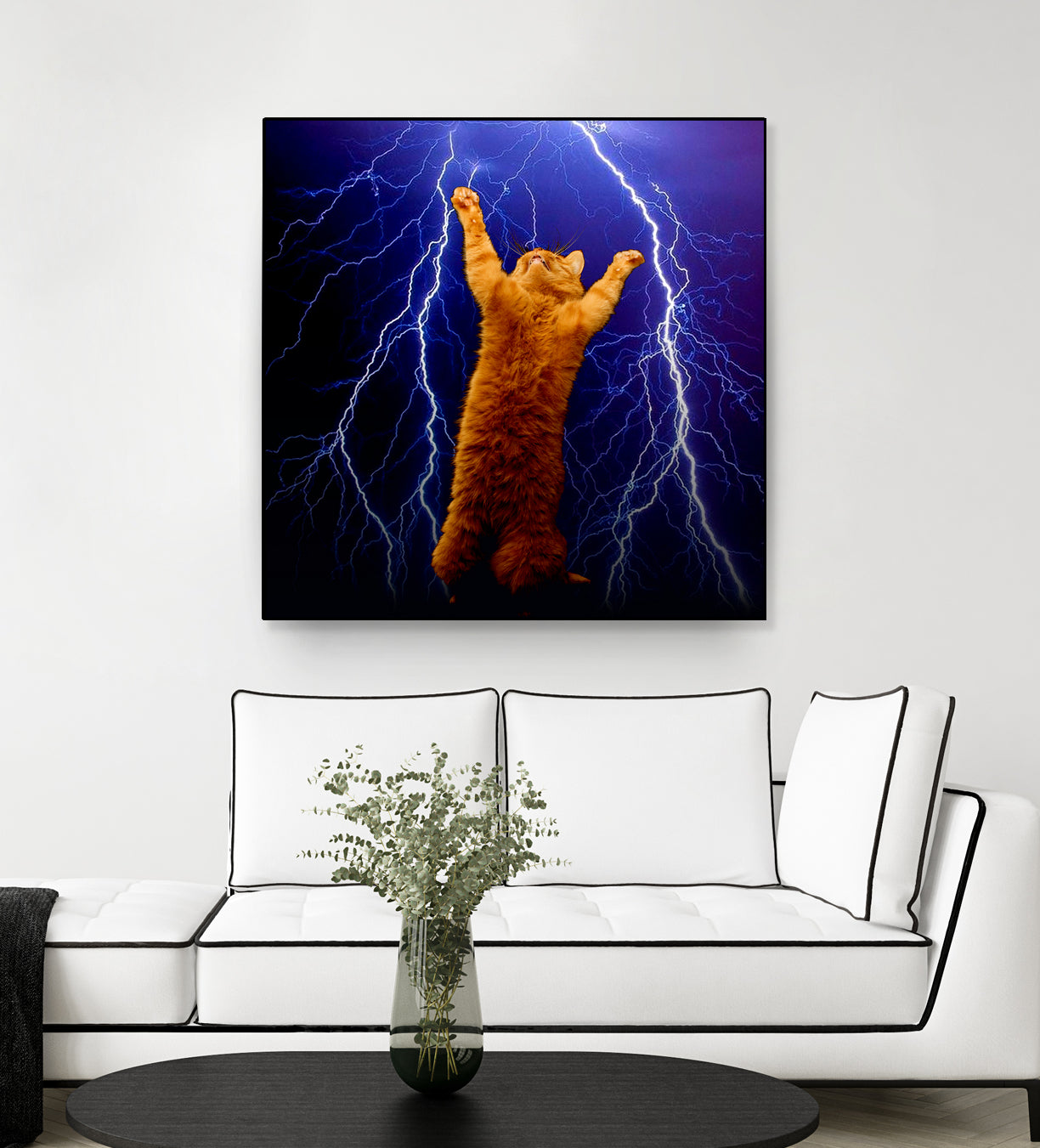 cat Thunders lighting space universe galaxy by Damian Augustyniak on GIANT ART - blue photo manipulation