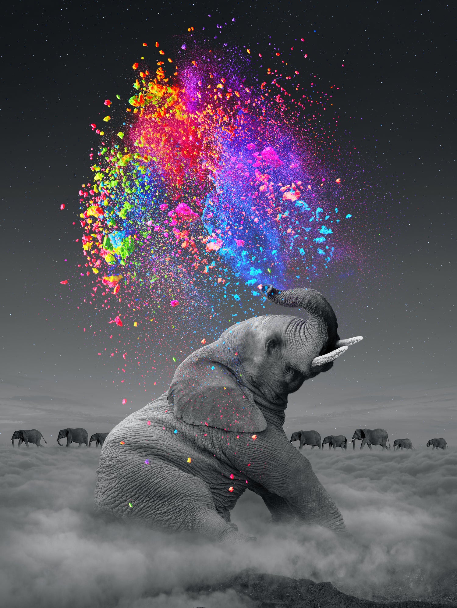 True Colors Within by Soaring Anchor on GIANT ART - gray photo manipulation