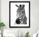 Black and White Zebra by Alessandra Minervini on GIANT ART - black digital painting