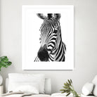 Black and White Zebra by Alessandra Minervini on GIANT ART - black digital painting