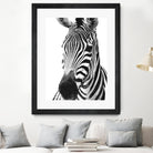 Black and White Zebra by Alessandra Minervini on GIANT ART - black digital painting