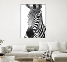 Black and White Zebra by Alessandra Minervini on GIANT ART - black digital painting