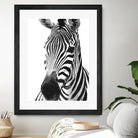 Black and White Zebra by Alessandra Minervini on GIANT ART - black digital painting