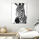 Black and White Zebra by Alessandra Minervini on GIANT ART - black digital painting