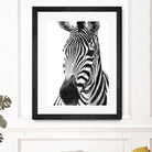 Black and White Zebra by Alessandra Minervini on GIANT ART - black digital painting