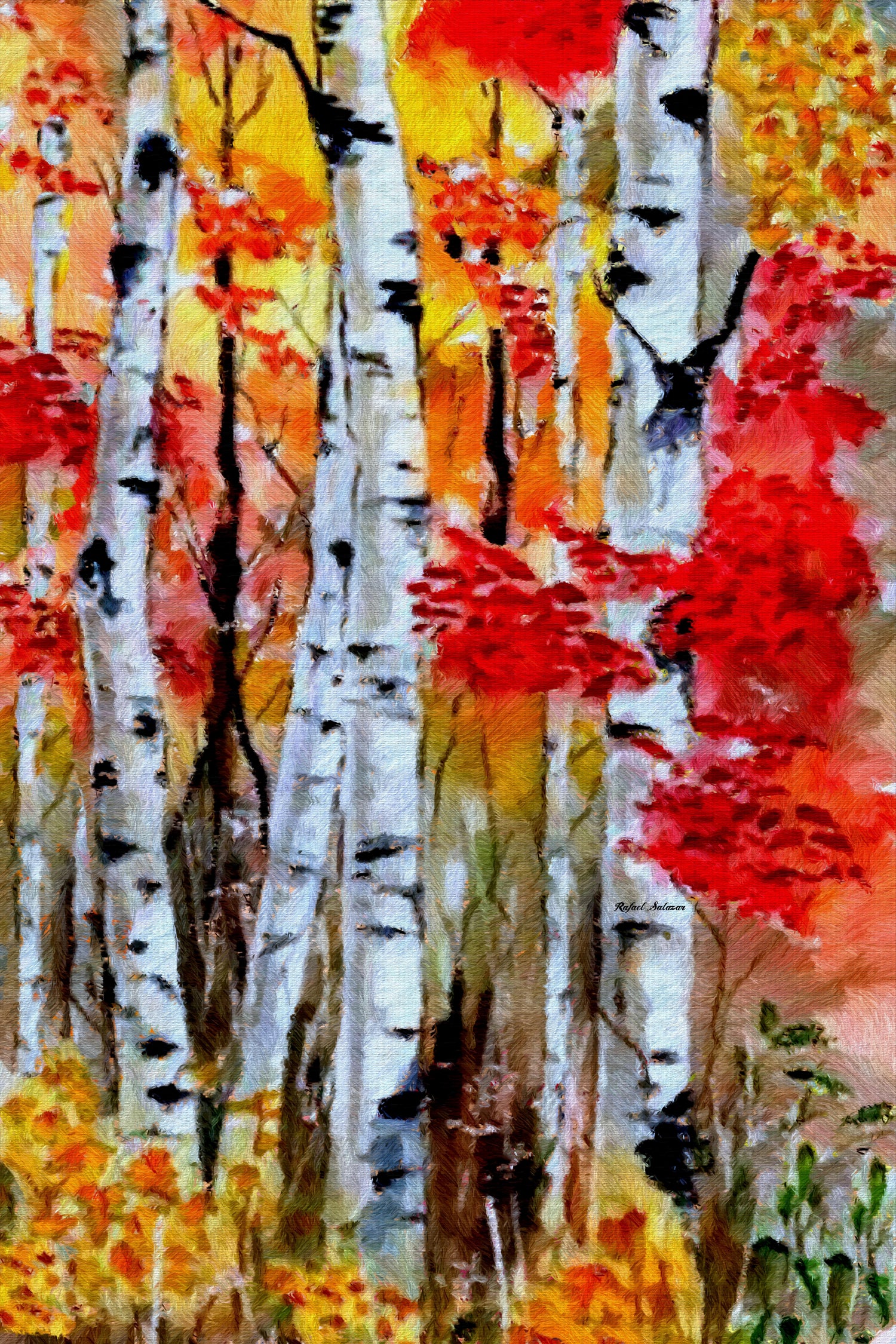 Birch Trees in Fall by Rafael Salazar on GIANT ART - red digital painting