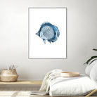 Blue Fish Illustration by Alessandra Minervini on GIANT ART - blue digital painting