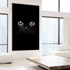 The Black Cat by Mikhail Zhirnov on GIANT ART - black photo illustration