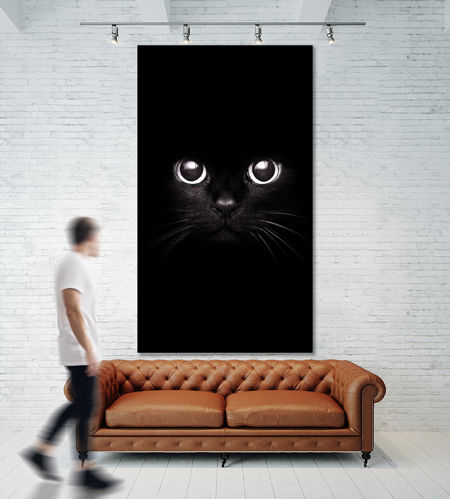 The Black Cat by Mikhail Zhirnov on GIANT ART - black photo illustration