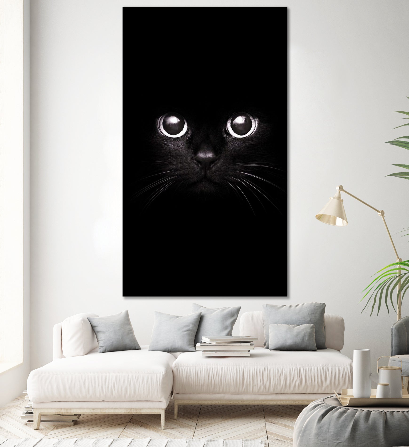 The Black Cat by Mikhail Zhirnov on GIANT ART - black photo illustration