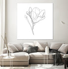 Magnolia Flower Print #4 by Parinta Sofia Stefanopoulou on GIANT ART - white digital drawing