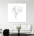 Magnolia Flower Print #4 by Parinta Sofia Stefanopoulou on GIANT ART - white digital drawing