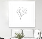 Magnolia Flower Print #4 by Parinta Sofia Stefanopoulou on GIANT ART - white digital drawing