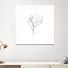 Magnolia Flower Print #4 by Parinta Sofia Stefanopoulou on GIANT ART - white digital drawing