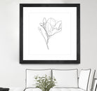 Magnolia Flower Print #4 by Parinta Sofia Stefanopoulou on GIANT ART - white digital drawing