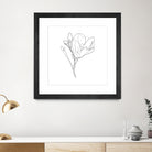 Magnolia Flower Print #4 by Parinta Sofia Stefanopoulou on GIANT ART - white digital drawing