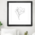 Magnolia Flower Print #4 by Parinta Sofia Stefanopoulou on GIANT ART - white digital drawing