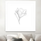 Magnolia Flower Print #4 by Parinta Sofia Stefanopoulou on GIANT ART - white digital drawing