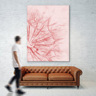 Dandelion In Pink by IOANNA PAPANIKOLAOU on GIANT ART - pink photo illustration