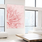 Dandelion In Pink by IOANNA PAPANIKOLAOU on GIANT ART - pink photo illustration