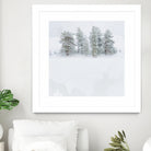 Pines by Antonio Zimbone on GIANT ART - white photo illustration