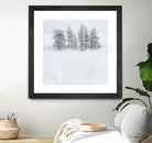 Pines by Antonio Zimbone on GIANT ART - white photo illustration