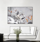 Snow leopard by Sarah Arthur on GIANT ART - gray photo illustration