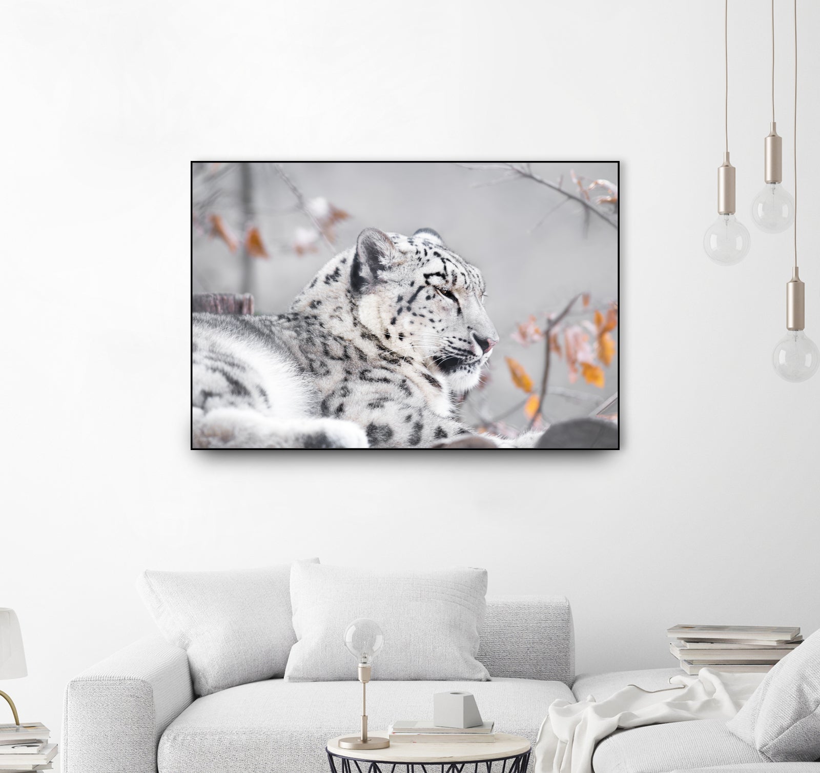 Snow leopard by Sarah Arthur on GIANT ART - gray photo illustration