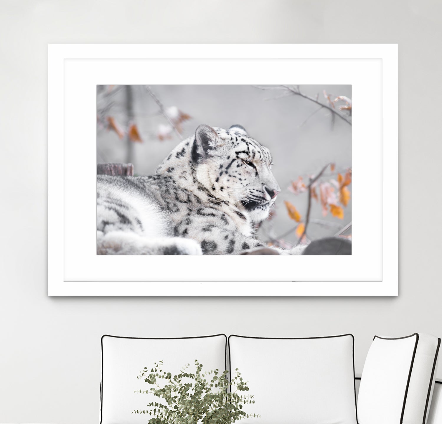 Snow leopard by Sarah Arthur on GIANT ART - gray photo illustration