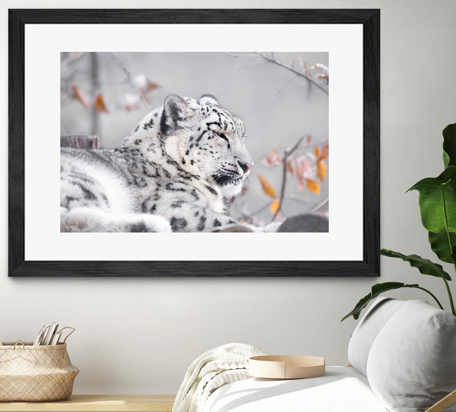 Snow leopard by Sarah Arthur on GIANT ART - gray photo illustration