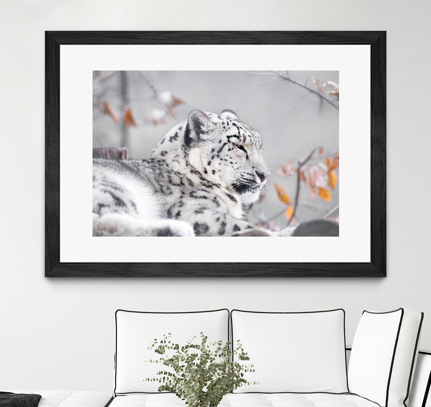 Snow leopard by Sarah Arthur on GIANT ART - gray photo illustration