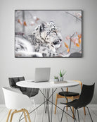 Snow leopard by Sarah Arthur on GIANT ART - gray photo illustration