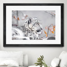 Snow leopard by Sarah Arthur on GIANT ART - gray photo illustration