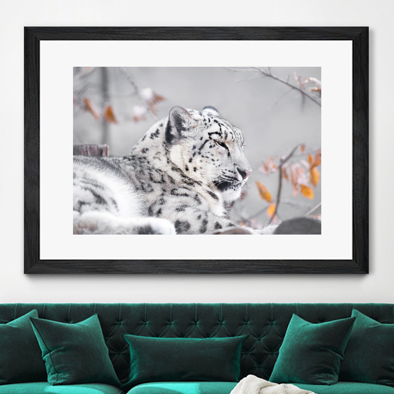 Snow leopard by Sarah Arthur on GIANT ART - gray photo illustration