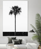 Coconut Tree by Uma Gokhale on GIANT ART - white photo manipulation