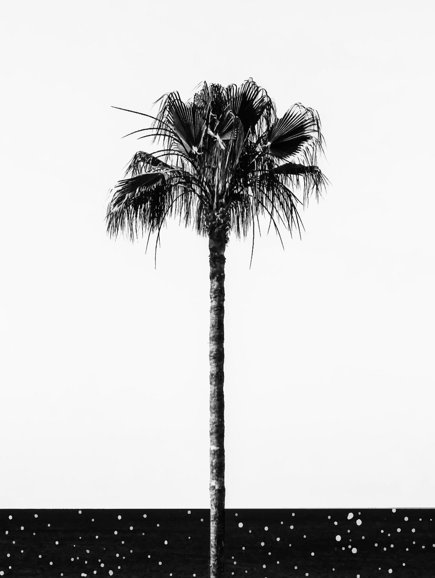 Coconut Tree by Uma Gokhale on GIANT ART - white photo manipulation